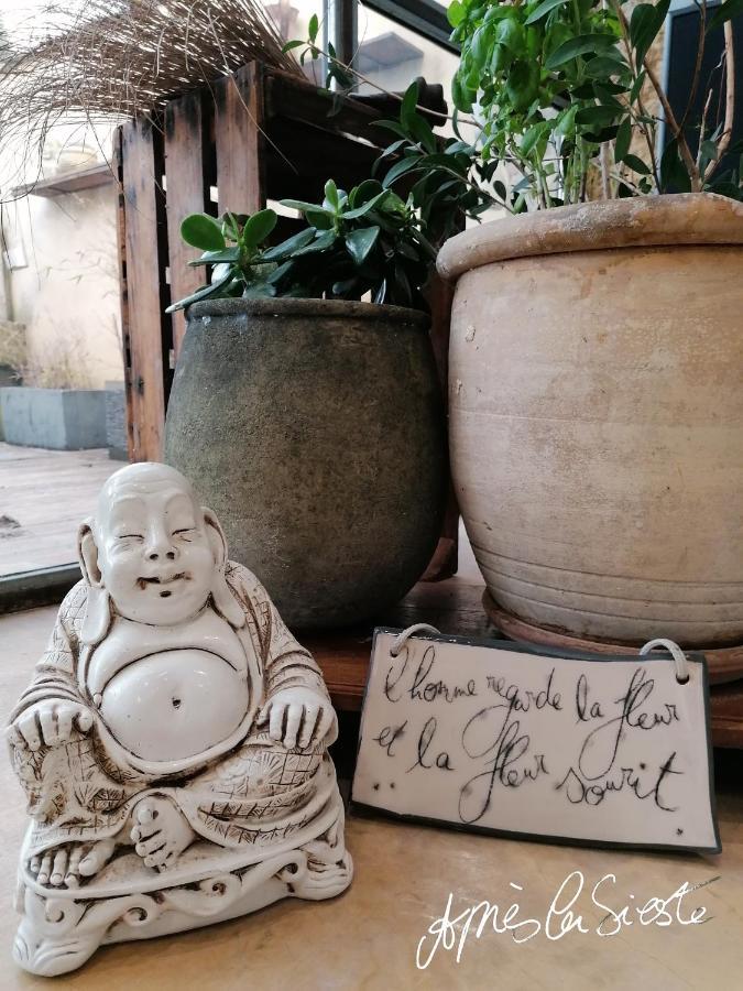 Apres La Sieste サン・ローラン・デ・ザルブル エクステリア 写真